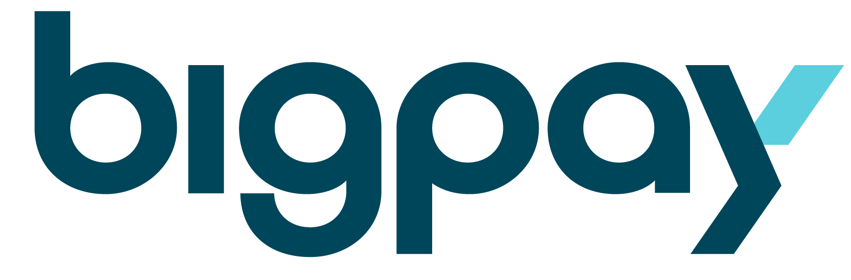 bigpay logo
